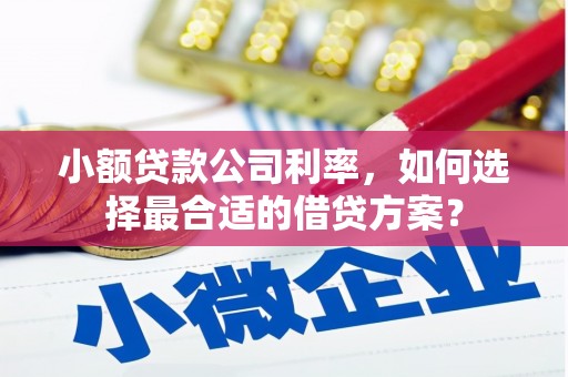 延庆小额贷款公司利率，如何选择最合适的借贷方案？