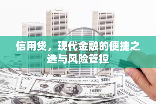 望奎信用贷，现代金融的便捷之选与风险管控