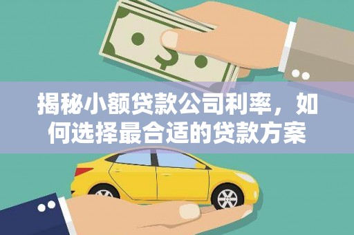新泰揭秘小额贷款公司利率，如何选择最合适的贷款方案