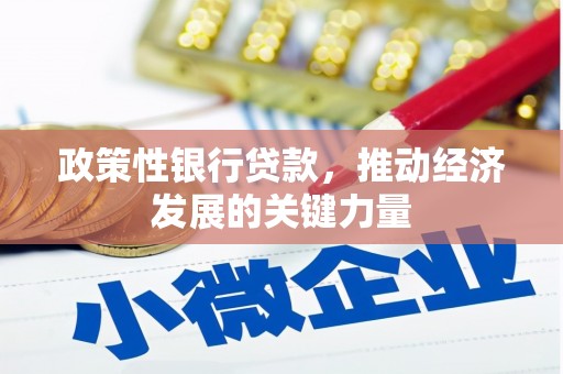 温岭政策性银行贷款，推动经济发展的关键力量