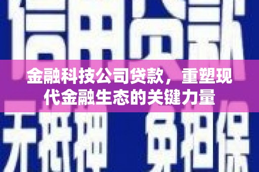 舒城金融科技公司贷款，重塑现代金融生态的关键力量