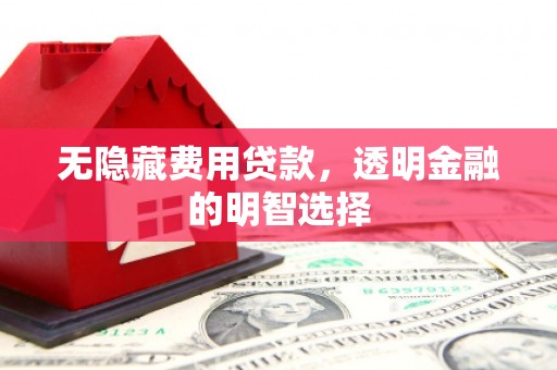 溆浦无隐藏费用贷款，透明金融的明智选择