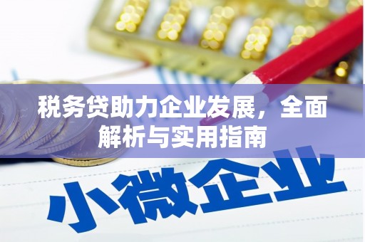 坊子税务贷助力企业发展，全面解析与实用指南