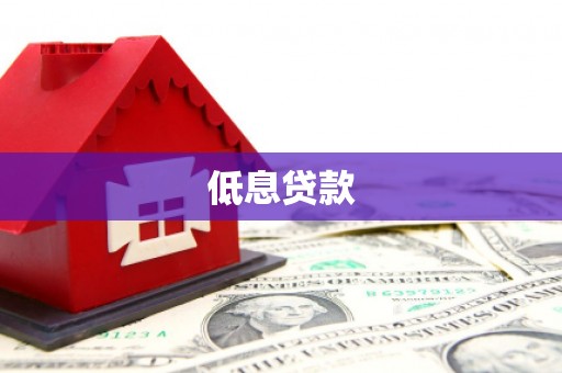 新洲低息贷款