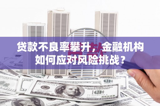 怀集贷款不良率攀升，金融机构如何应对风险挑战？