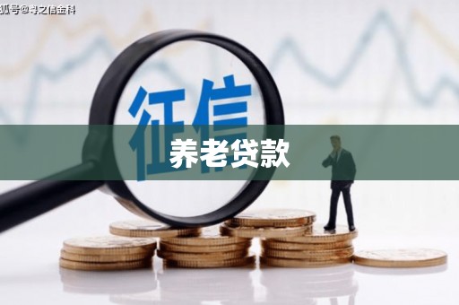 绥中养老贷款