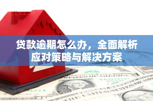 梅河口贷款逾期怎么办，全面解析应对策略与解决方案