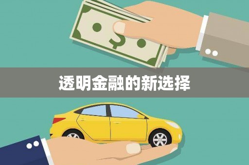 志丹透明金融的新选择