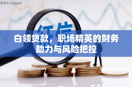 澜沧白领贷款,职场精英的财务助力与风险把控 澜沧白领贷款,职场精英的财务助力与风险把控