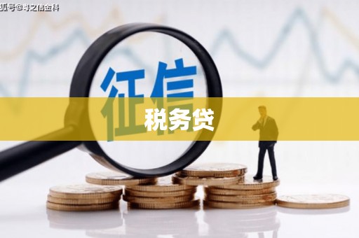 聂荣税务贷